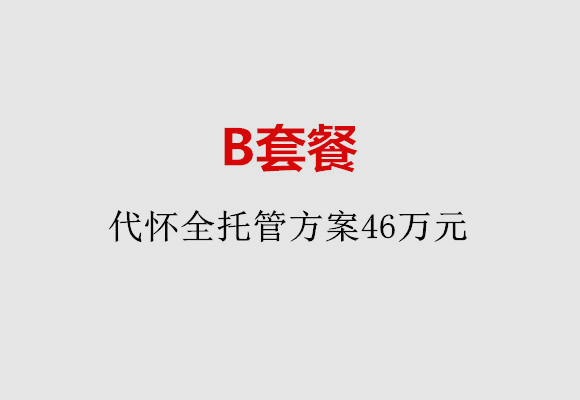 泉州B套餐：代怀全托管方案46万元